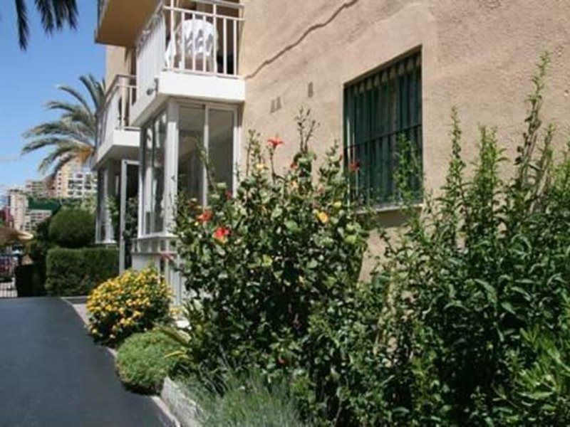 Apartamentos Palm Court Benidorm Kültér fotó